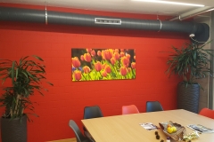 swiss_sonic_ultraschall_ag_06